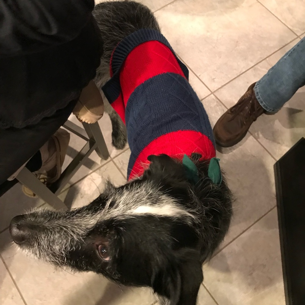 Navy Blue Acrylic Sweater